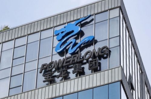 寶龍實業(yè) 未能如期支付 21寶龍01 5000萬元本金,獲30天寬限期